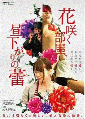 红果影视 喜剧《疯狂假期》